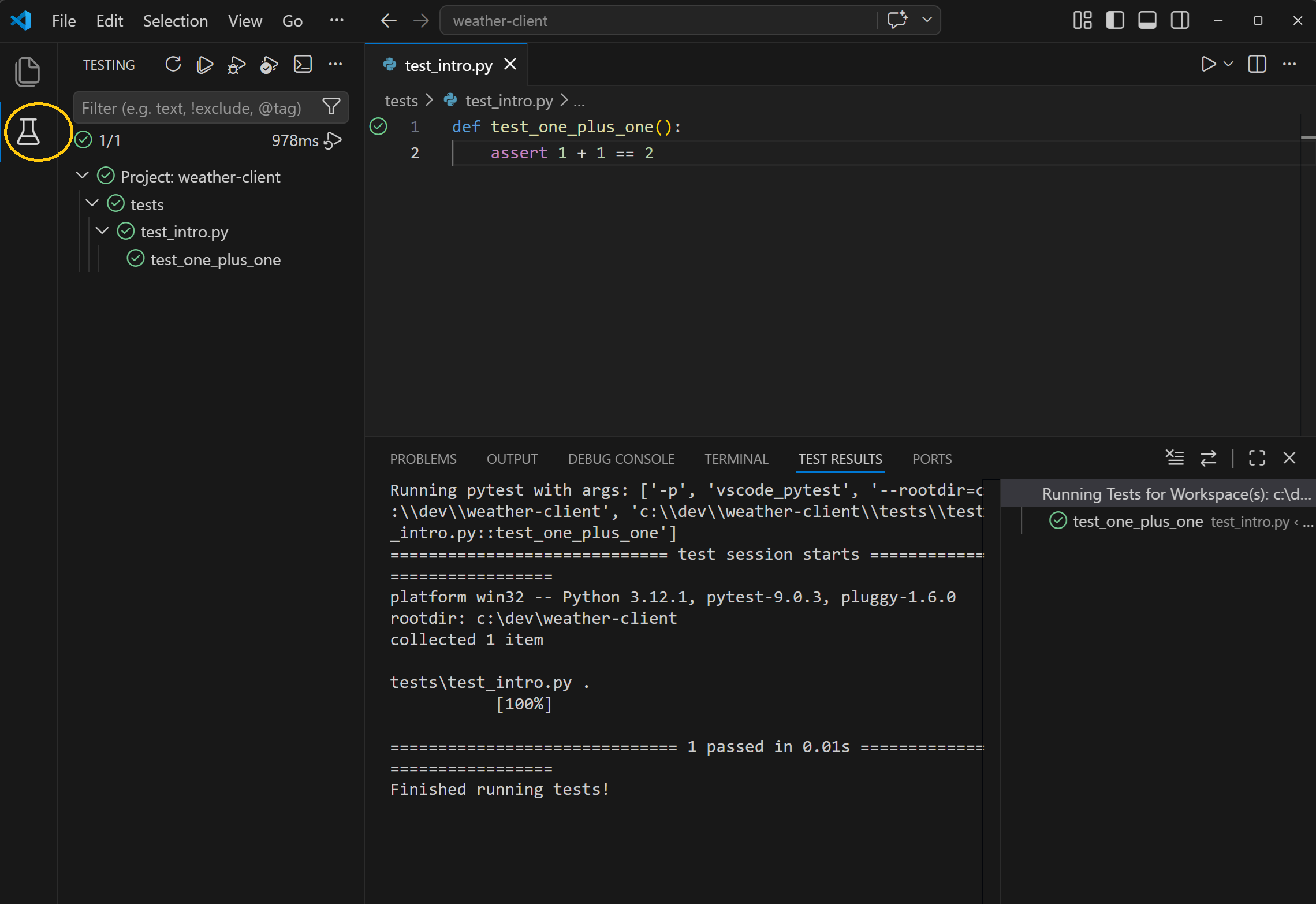 VS Code with the Testing panel open and a yellow circle highlighting the flask icon in the activity bar.
